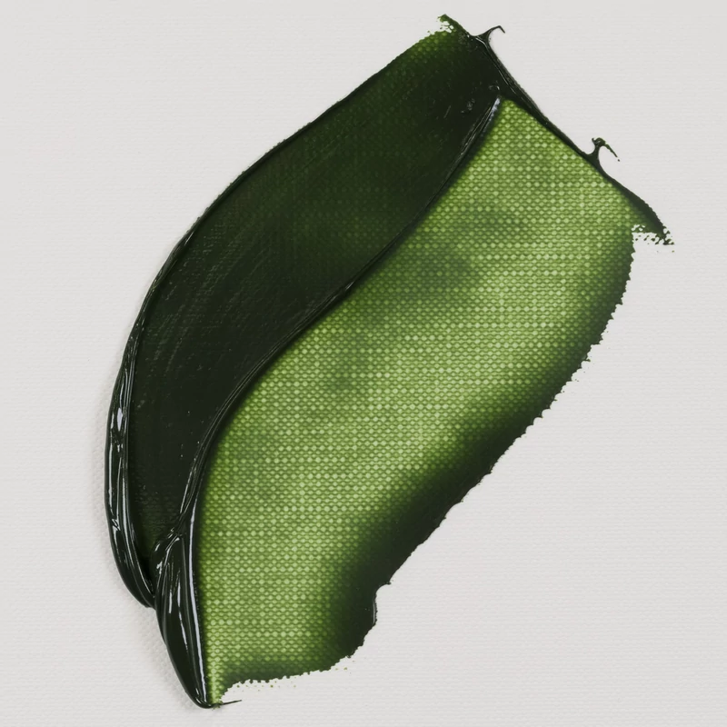 Talens Van Gogh uljana boja, 20 ml - 623, sap green