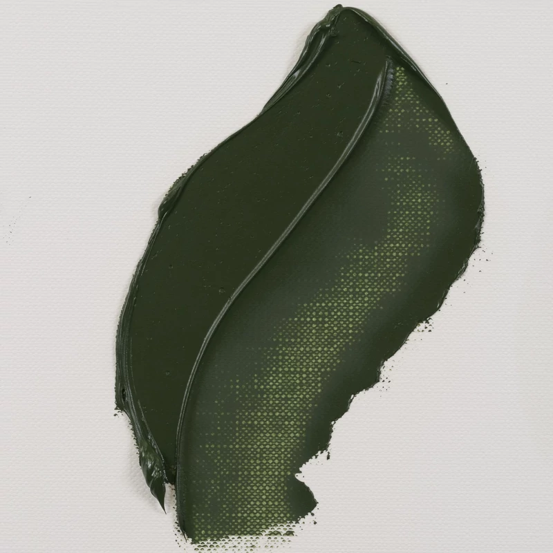 Talens Van Gogh uljana boja, 20 ml - 629, green earth